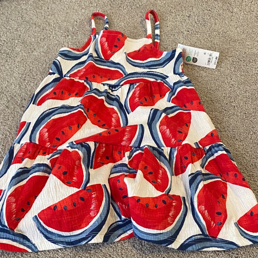 Carter's Red and Blue Watermelon Dress